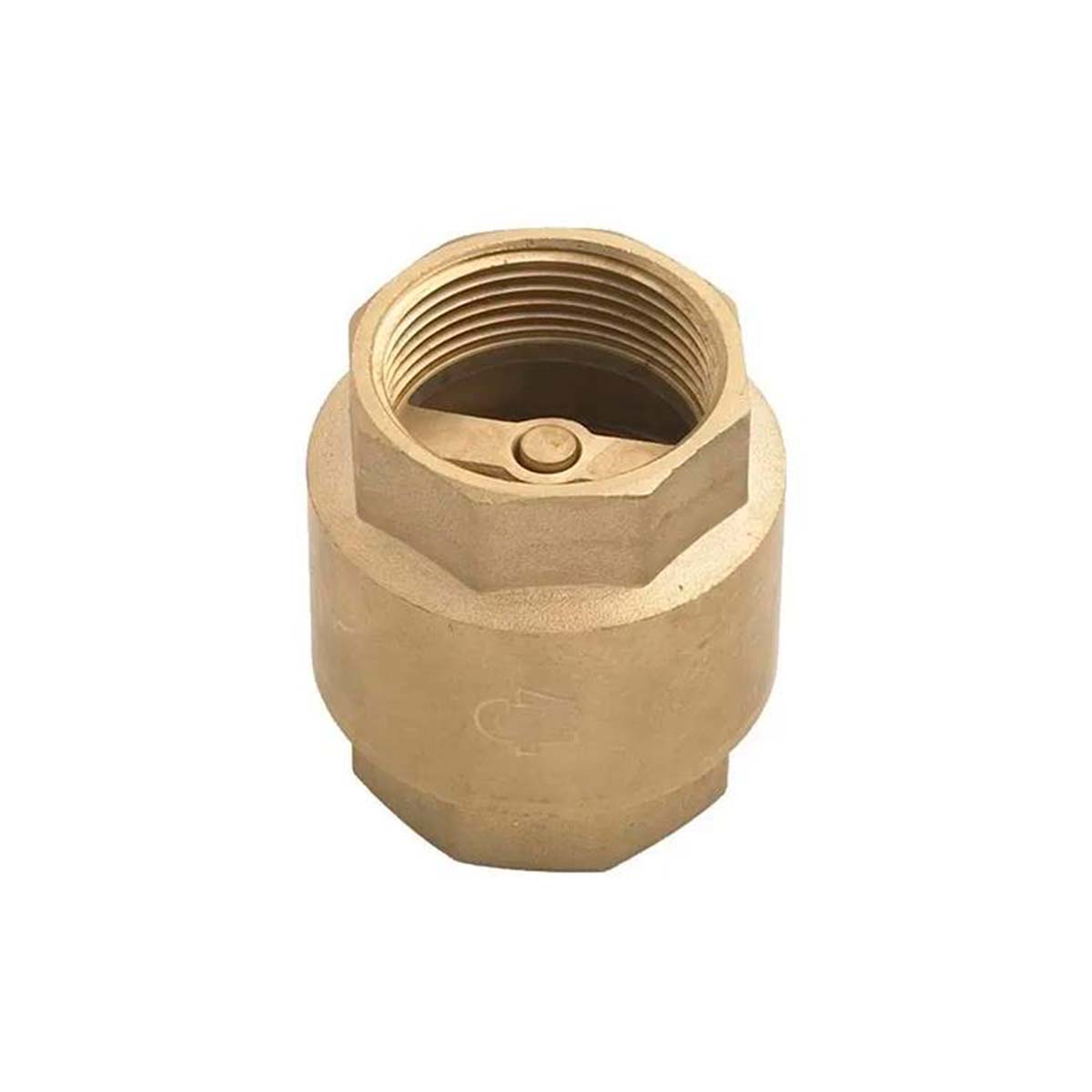 FV VALVULA DE RETENCION VERTICAL ASIENTO DE GOMA 19MM 0496-19