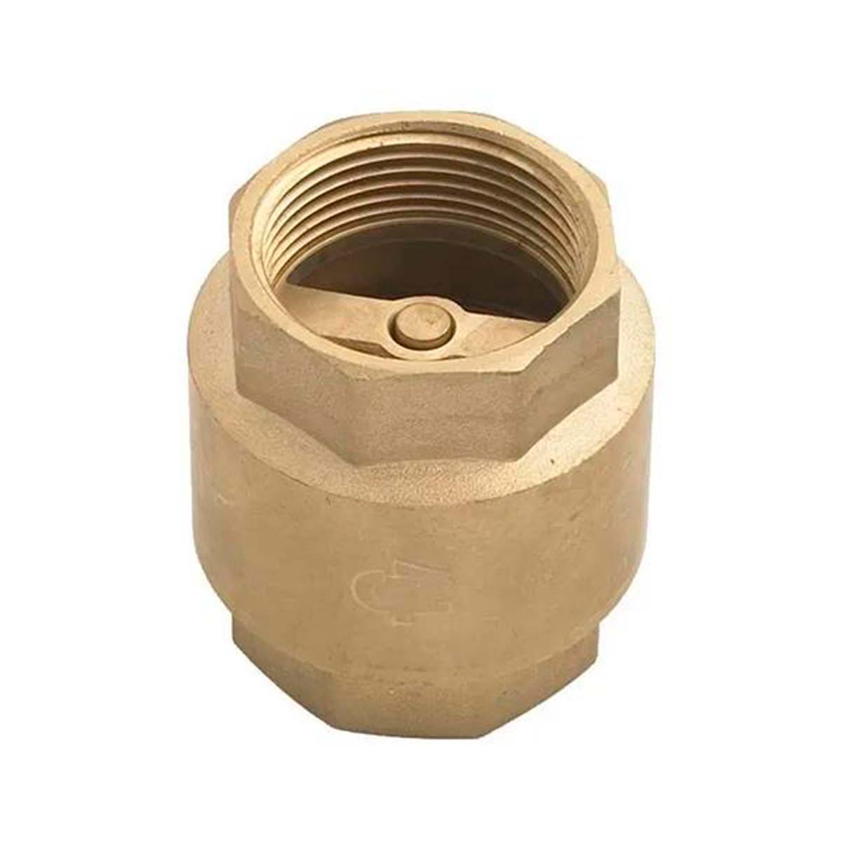 FV VALVULA DE RETENCION VERTICAL ASIENTO DE GOMA 25MM 0496-25