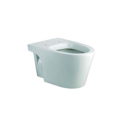 Collection image for: Inodoro de Colgar