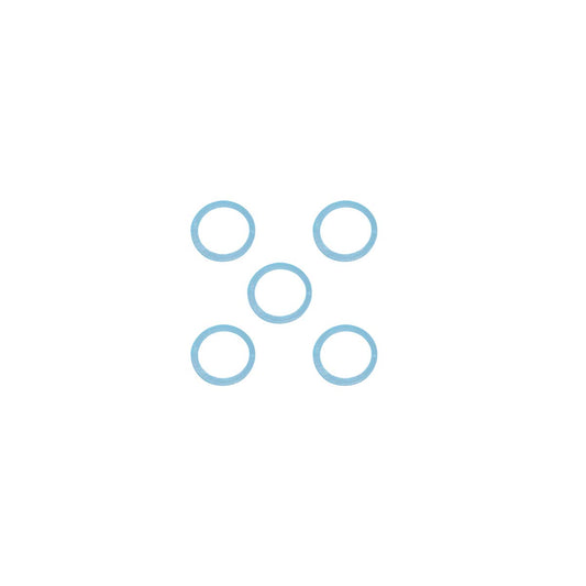 FV ARANDELA DE FRICCION P/REPUESTO 5 UNID. 0100/49.32-D5