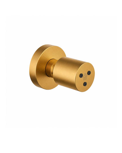 FV SPA JETS CON MASAJEADOR BRUSHED GOLD 0138.01-BG