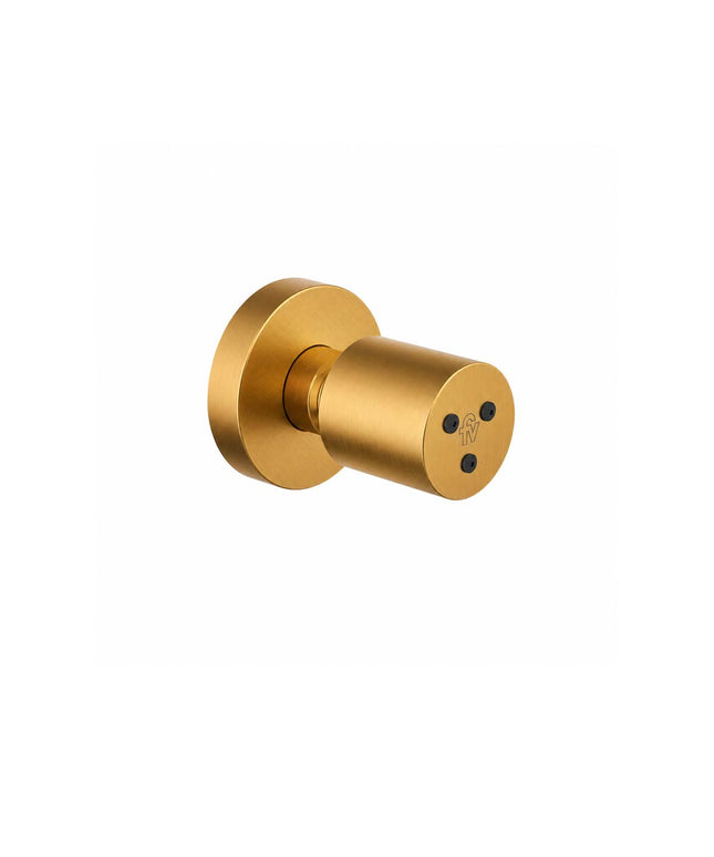 FV SPA JETS CON MASAJEADOR BRUSHED GOLD 0138.01-BG