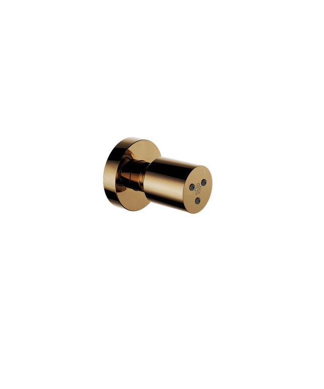 FV SPA JETS CON MASAJEADOR POLISHED BRASS 0138.01-PB