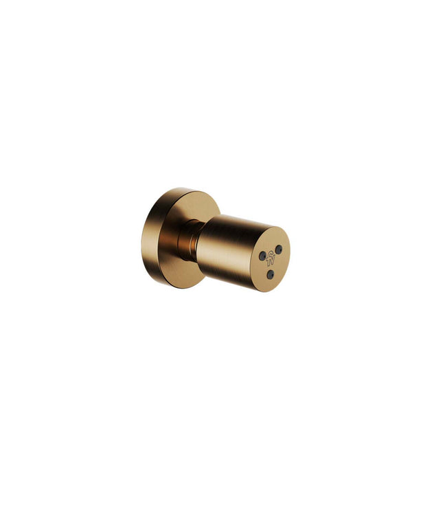 FV SPA JETS CON MASAJEADOR BRUSHED BRASS 0138.01-BB