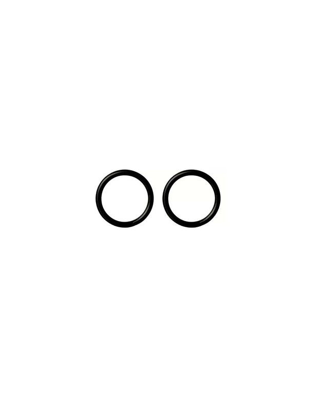FV O'RING D.I. 13.94 - D.W. 2.62 X  2 UNID 0411.04/87.10-D2
