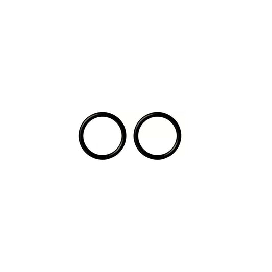 FV O'RING D.I. 13.94 - D.W. 2.62 X  2 UNID 0411.04/87.10-D2