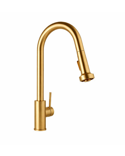 FV HUEMUL JUEGO MONOCOMANDO DE COCINA CON ROCIADOR BRUSHED BRASS 0412/N9-BB