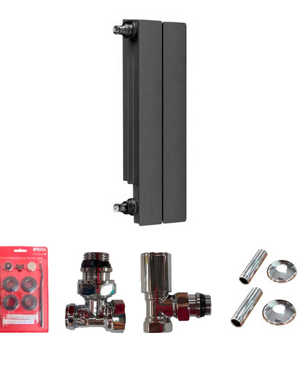 PEISA RADIADOR BR 500 NEGRO 2 ELEMENTOS + KIT DE INSTALACION