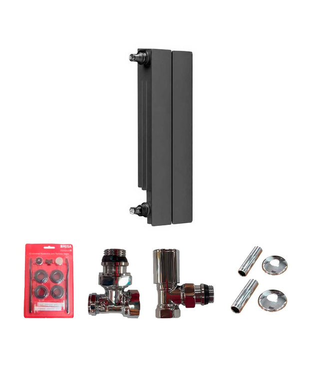 PEISA RADIADOR BR 500 NEGRO 2 ELEMENTOS + KIT DE INSTALACION