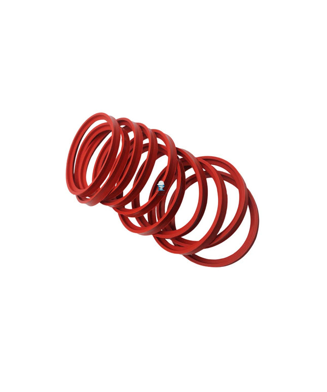 PEISA REP O'RING A LABBRO D60 SILICONA - PQ X 10 90000069