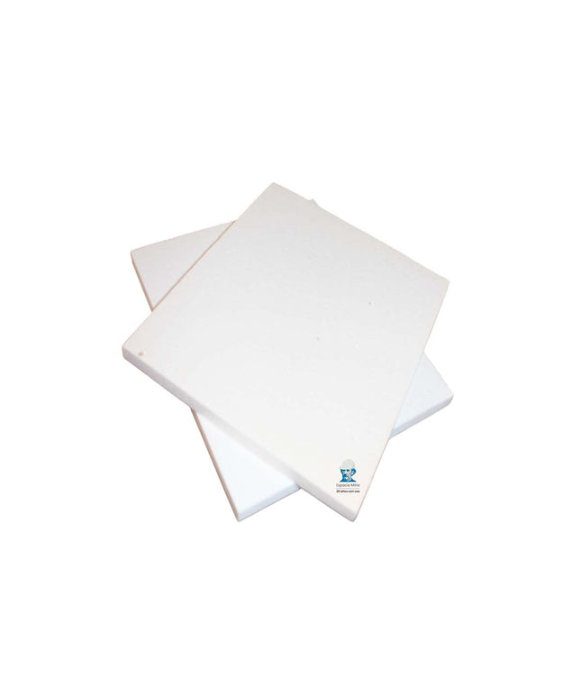 PEISA REP PLACA AISLANTE 290 X 218 DIVA - PQ X 2 90000105