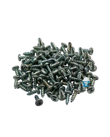 PEISA REP TORN. PARKER PH. 6 X 1/4 - PK X 100 90000122