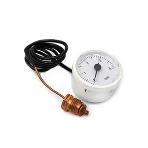 Peisa Rep Manometro Diva Condensacion 90000294