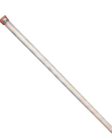 PEISA REP ANODO DE MAGNESIO L= 0.60 M 90000332