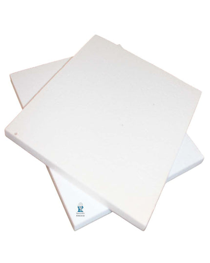 PEISA REP PLACA AISLANTE 10X337X218 TX40  PQ X 2  90000384