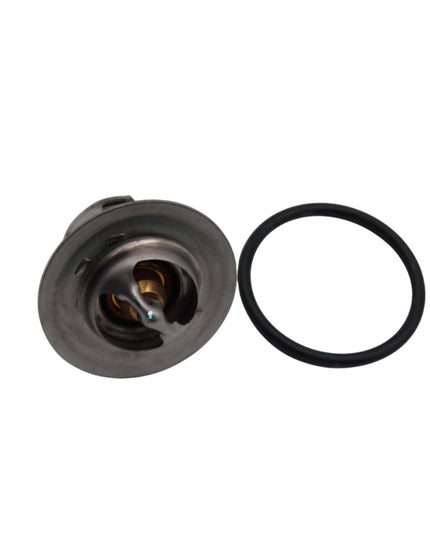 PEISA REP TERMOSTATO LIMITE T40/80 C/ O'RING 90000433