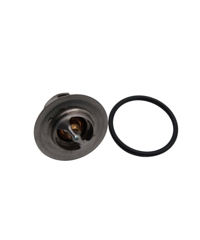PEISA REP TERMOSTATO LIMITE T40/80 C/ O'RING 90000433