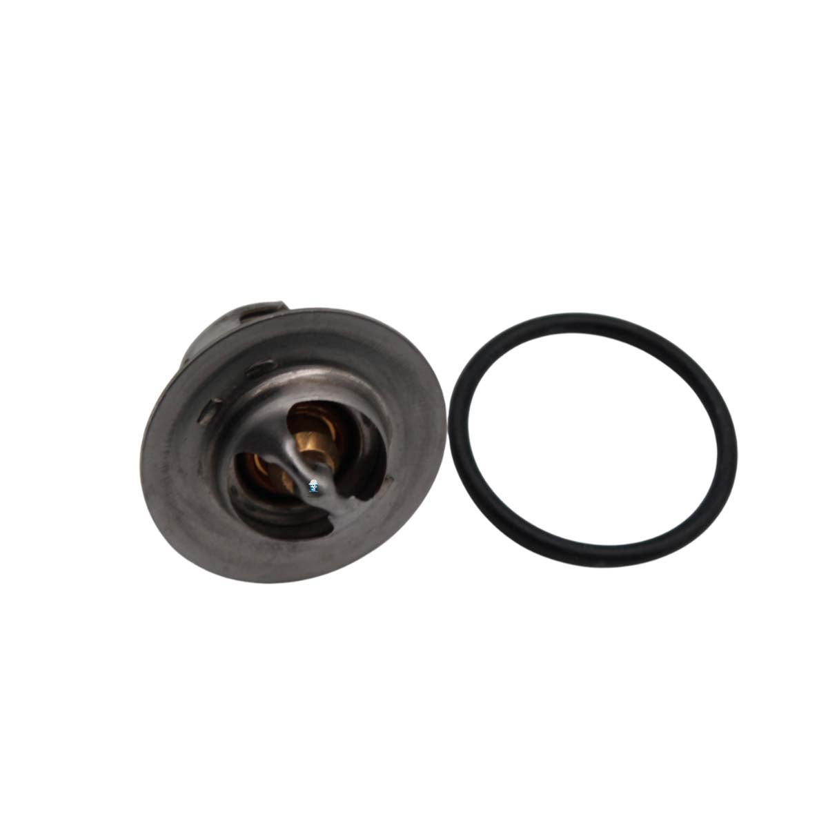 PEISA REP TERMOSTATO LIMITE T40/80 C/ O'RING 90000433