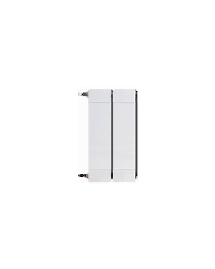 PEISA STOCK RADIADOR BROEN PLUS 200 BL 2 ELEMENTOS 10000967