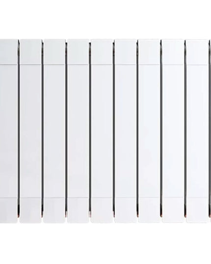 PEISA RADIADOR BROEN PLUS 600 STOCK BL 10 ELEMENTOS 10000999