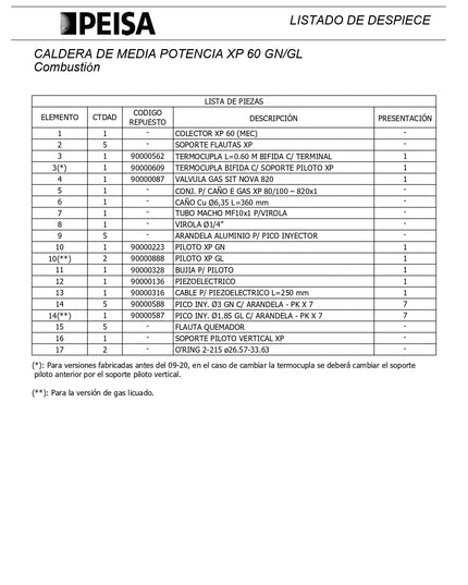 PEISA CALDERA XP 60 GN 10000073