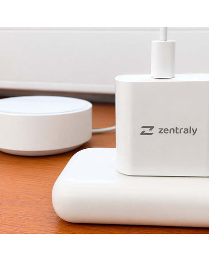ZENTRALY CARGADOR TIPO-C 10 W 10002035