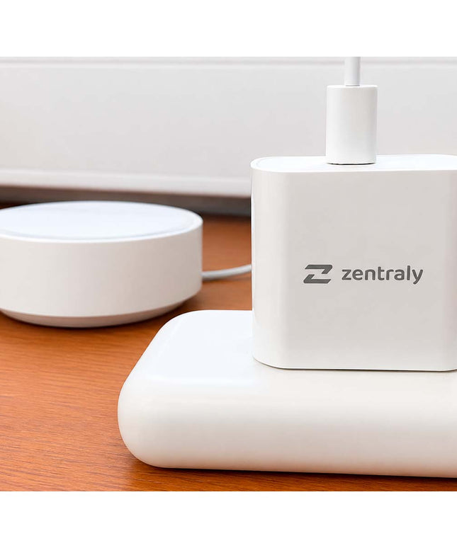 ZENTRALY CARGADOR TIPO-C 10 W 10002035