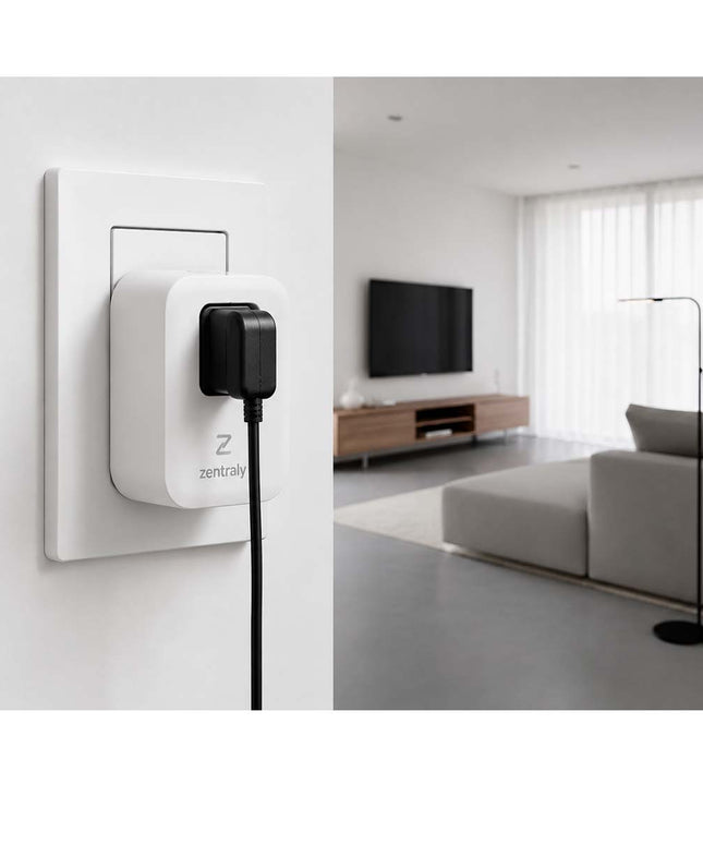 ZENTRALY ENCHUFE MINI WIFI ZTEIM01 10002025